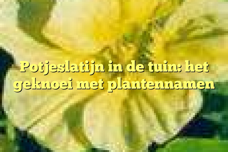 Potjeslatijn in de tuin: het geknoei met plantennamen