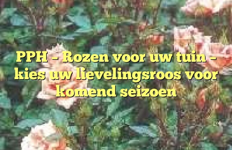 PPH – Rozen voor uw tuin – kies uw lievelingsroos voor komend seizoen