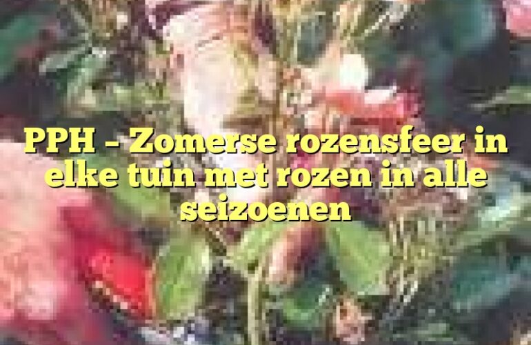 PPH – Zomerse rozensfeer in elke tuin met rozen in alle seizoenen