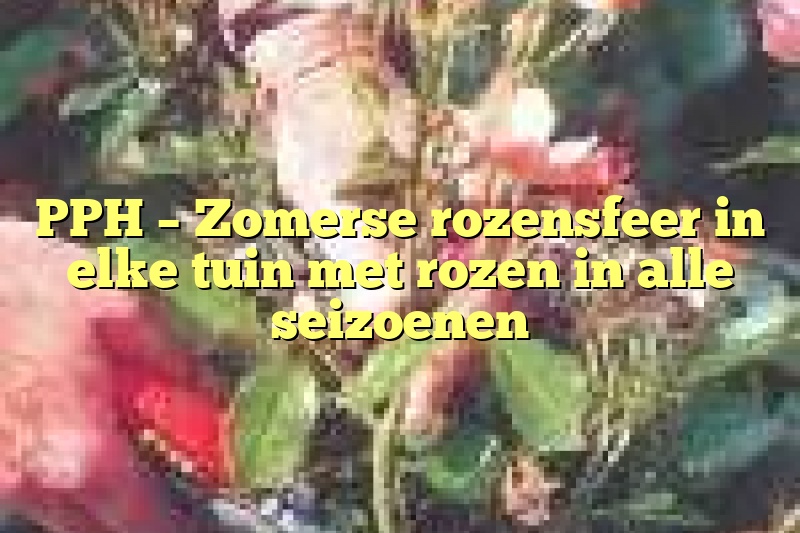 PPH – Zomerse rozensfeer in elke tuin met rozen in alle seizoenen