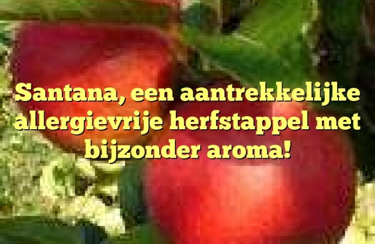 Santana, een aantrekkelijke allergievrije herfstappel met bijzonder aroma!