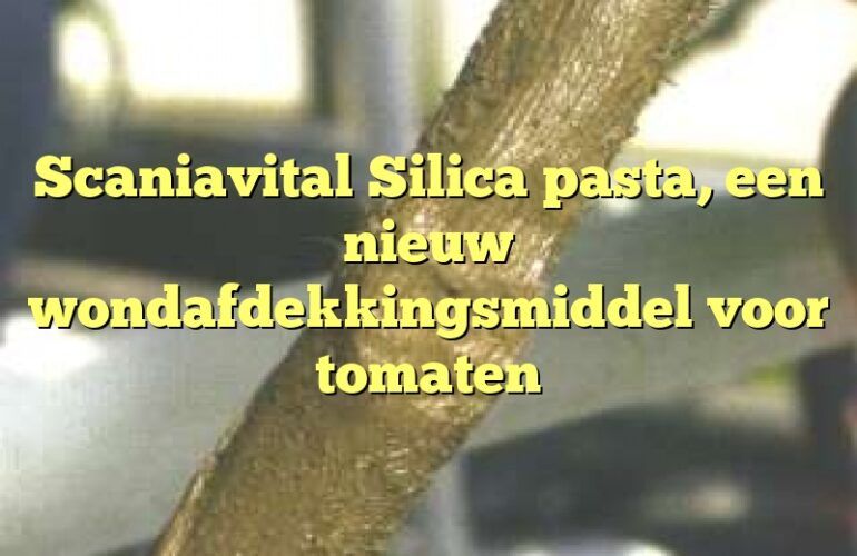 Scaniavital Silica pasta, een nieuw wondafdekkingsmiddel voor tomaten