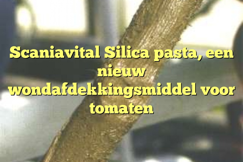 Scaniavital Silica pasta, een nieuw wondafdekkingsmiddel voor tomaten