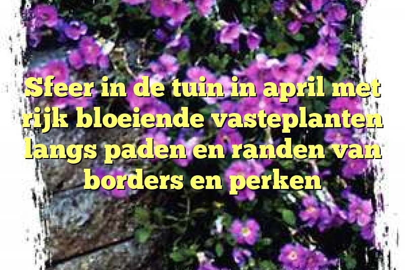 Sfeer in de tuin in april met rijk bloeiende vasteplanten langs paden en randen van borders en perken