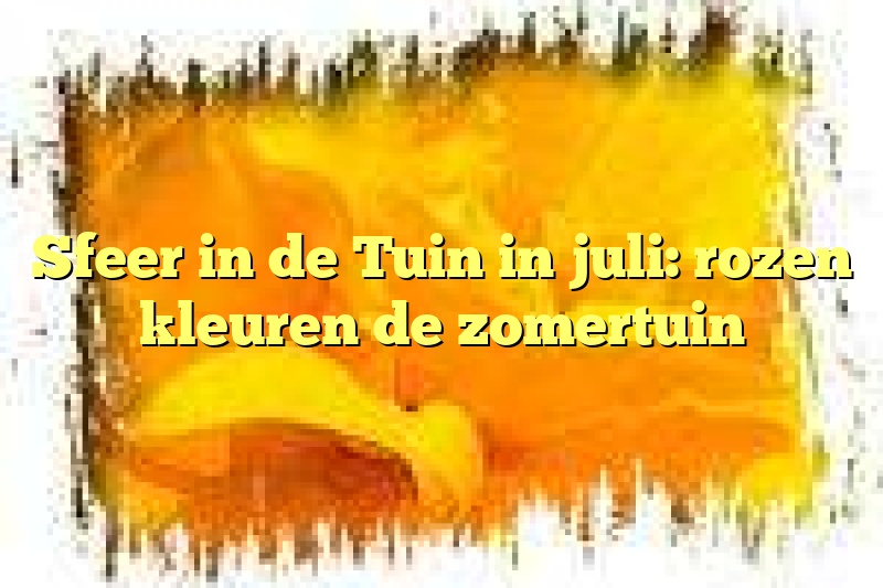 Sfeer in de Tuin in juli: rozen kleuren de zomertuin