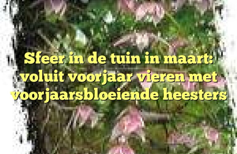 Sfeer in de tuin in maart: voluit voorjaar vieren met voorjaarsbloeiende heesters