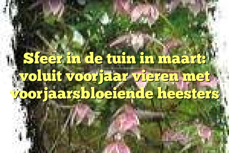 Sfeer in de tuin in maart: voluit voorjaar vieren met voorjaarsbloeiende heesters