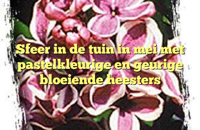 Sfeer in de tuin in mei met pastelkleurige en geurige bloeiende heesters