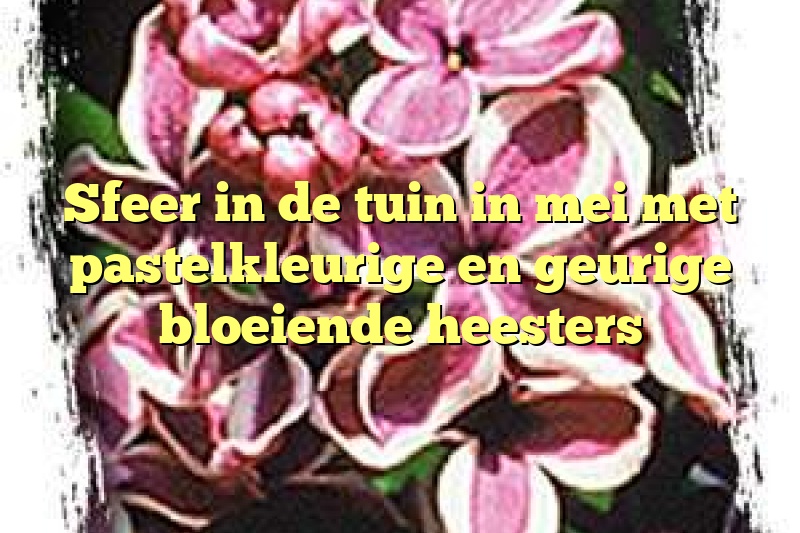 Sfeer in de tuin in mei met pastelkleurige en geurige bloeiende heesters