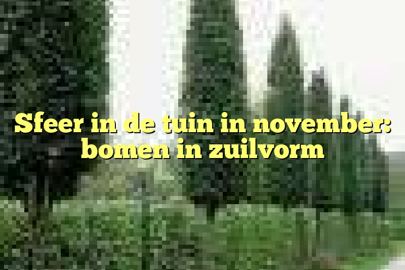 Sfeer in de tuin in november: bomen in zuilvorm