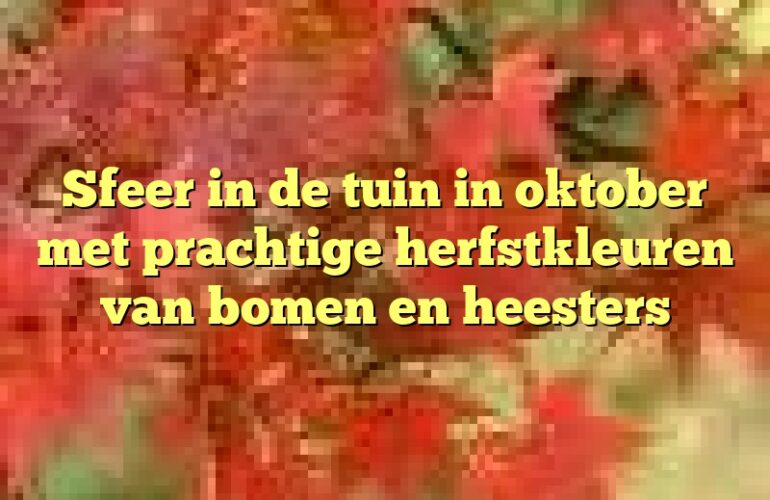 Sfeer in de tuin in oktober met prachtige herfstkleuren van bomen en heesters