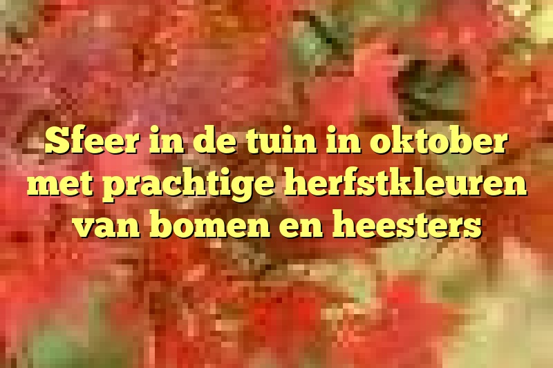 Sfeer in de tuin in oktober met prachtige herfstkleuren van bomen en heesters