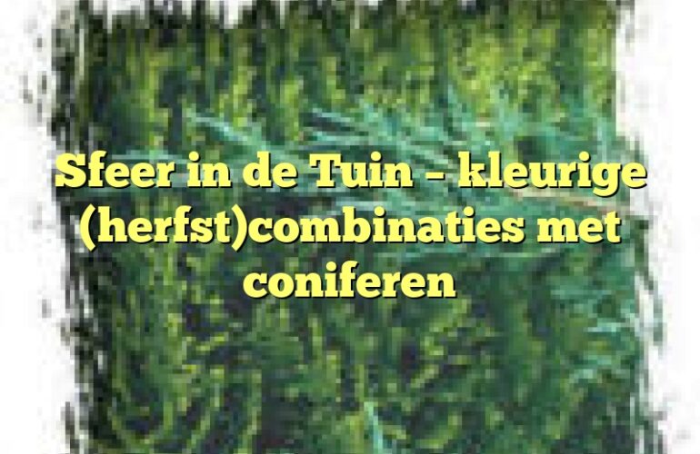 Sfeer in de Tuin – kleurige (herfst)combinaties met coniferen