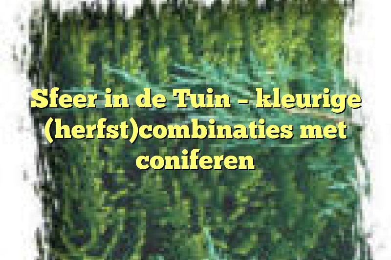 Sfeer in de Tuin – kleurige (herfst)combinaties met coniferen