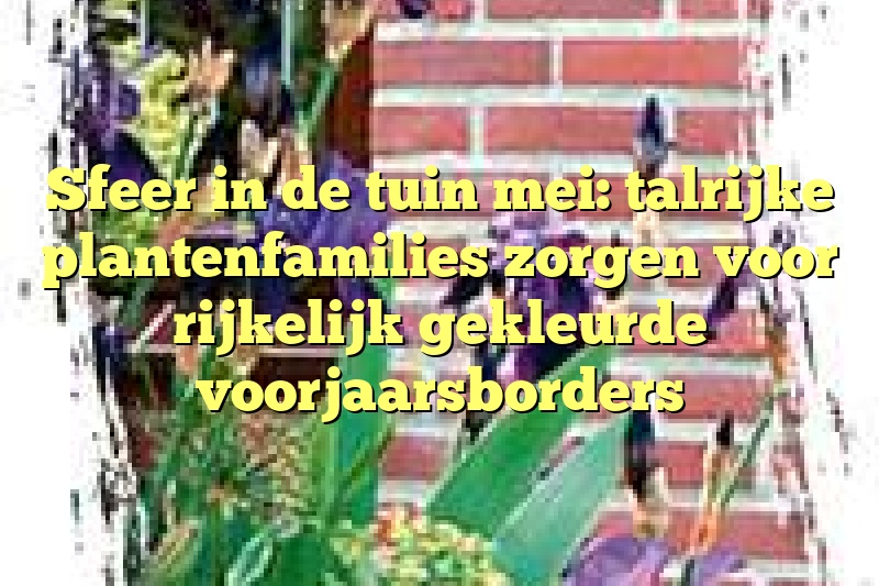 Sfeer in de tuin mei: talrijke plantenfamilies zorgen voor rijkelijk gekleurde voorjaarsborders