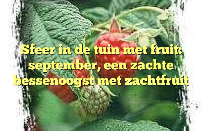 Sfeer in de tuin met fruit: september, een zachte bessenoogst met zachtfruit