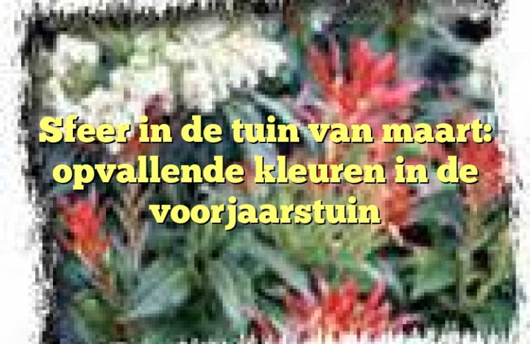 Sfeer in de tuin van maart: opvallende kleuren in de voorjaarstuin