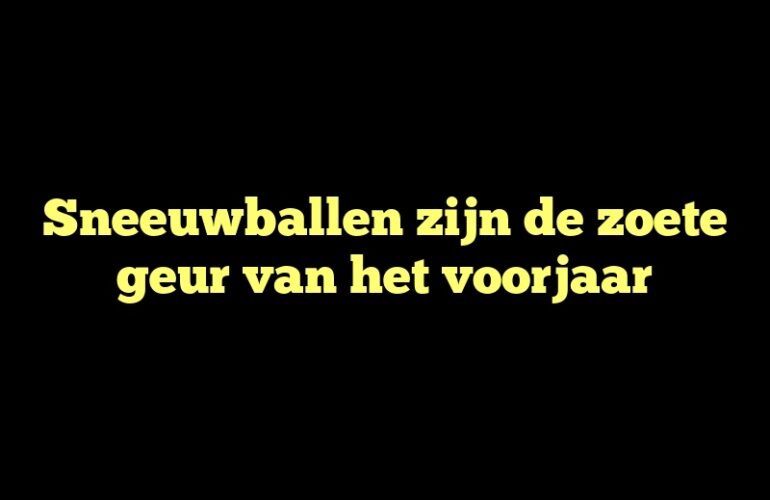 Sneeuwballen zijn de zoete geur van het voorjaar