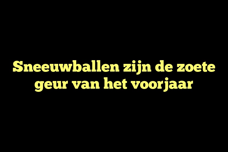 Sneeuwballen zijn de zoete geur van het voorjaar