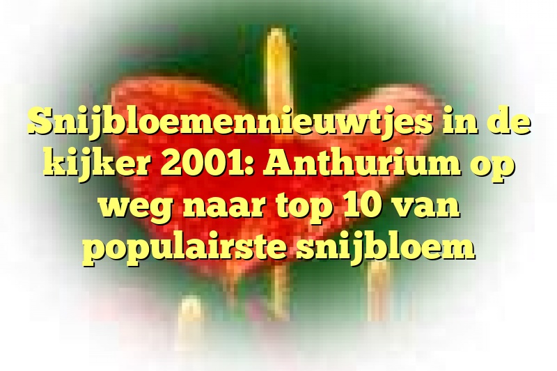 Snijbloemennieuwtjes in de kijker 2001: Anthurium op weg naar top 10 van populairste snijbloem