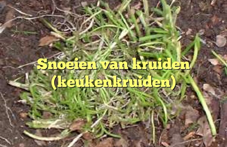 Snoeien van kruiden (keukenkruiden)