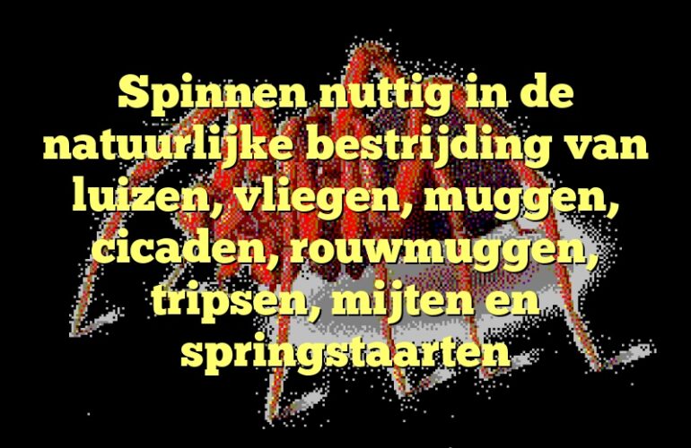 Spinnen nuttig in de natuurlijke bestrijding van luizen, vliegen, muggen, cicaden, rouwmuggen, tripsen, mijten en springstaarten