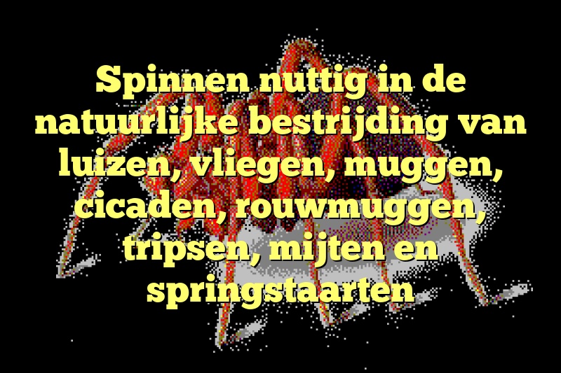 Spinnen nuttig in de natuurlijke bestrijding van luizen, vliegen, muggen, cicaden, rouwmuggen, tripsen, mijten en springstaarten