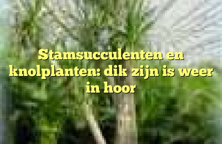 Stamsucculenten en knolplanten: dik zijn is weer in hoor