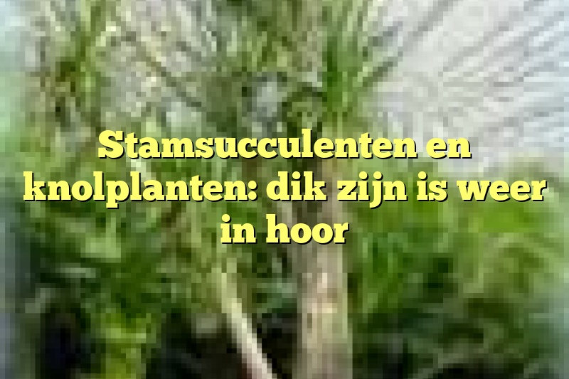 Stamsucculenten en knolplanten: dik zijn is weer in hoor