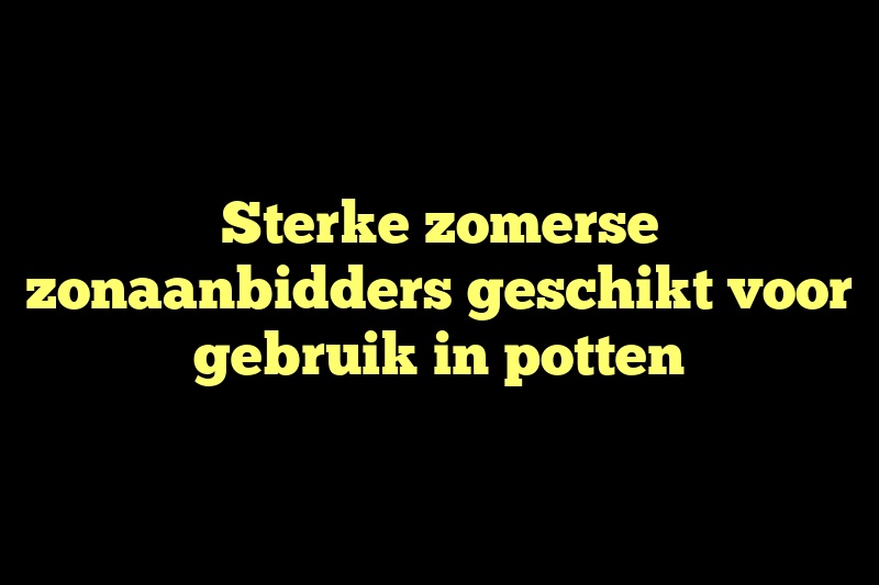 Sterke zomerse zonaanbidders geschikt voor gebruik in potten