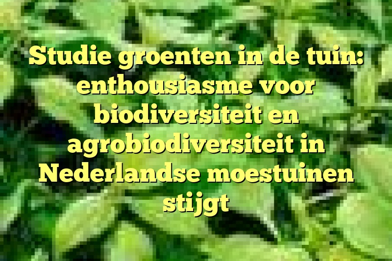 Studie groenten in de tuin: enthousiasme voor biodiversiteit en agrobiodiversiteit in Nederlandse moestuinen stijgt