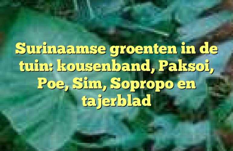 Surinaamse groenten in de tuin: kousenband, Paksoi, Poe, Sim, Sopropo en tajerblad