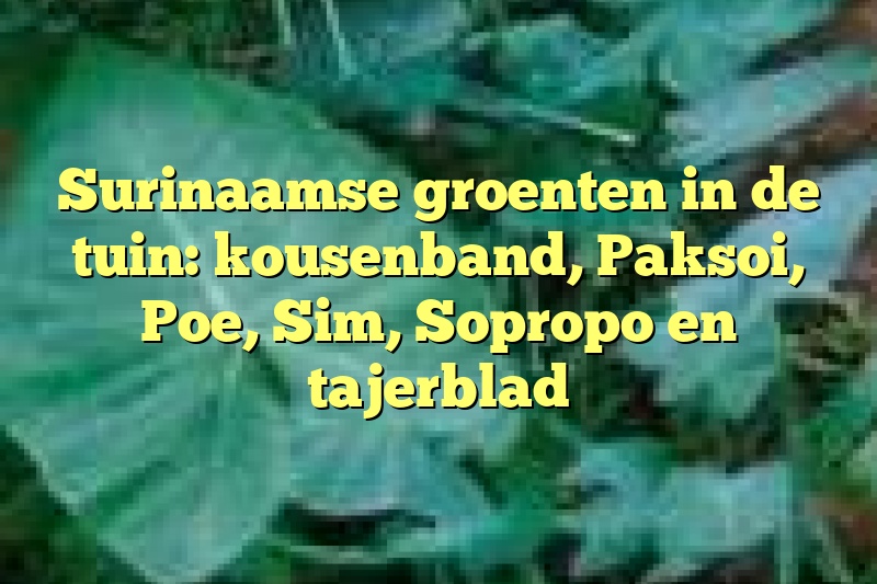 Surinaamse groenten in de tuin: kousenband, Paksoi, Poe, Sim, Sopropo en tajerblad