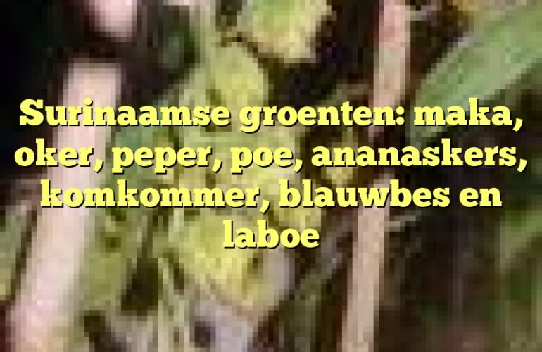 Surinaamse groenten: maka, oker, peper, poe, ananaskers, komkommer, blauwbes en laboe