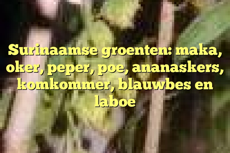 Surinaamse groenten: maka, oker, peper, poe, ananaskers, komkommer, blauwbes en laboe