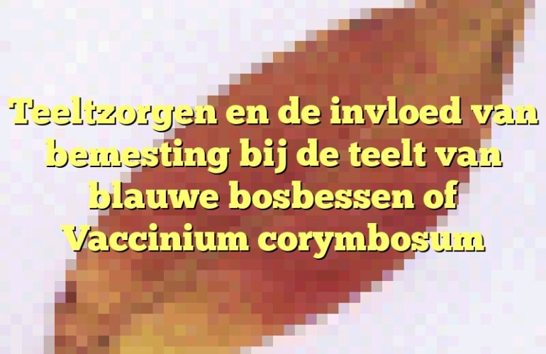 Teeltzorgen en de invloed van bemesting bij de teelt van blauwe bosbessen of Vaccinium corymbosum