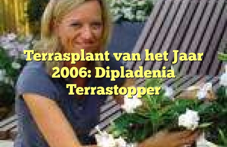 Terrasplant van het Jaar 2006: Dipladenia Terrastopper