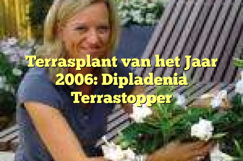 Terrasplant van het Jaar 2006: Dipladenia Terrastopper