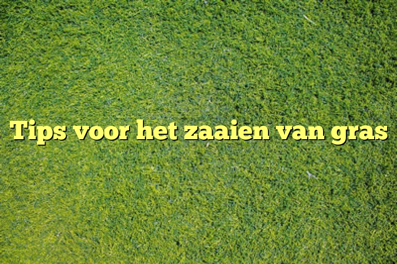 Tips voor het zaaien van gras