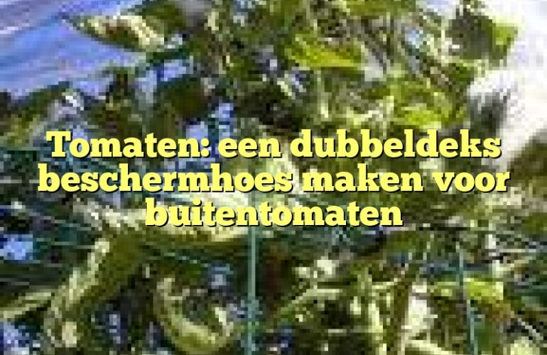 Tomaten: een dubbeldeks beschermhoes maken voor buitentomaten