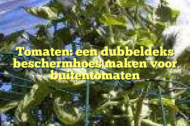 Tomaten: een dubbeldeks beschermhoes maken voor buitentomaten