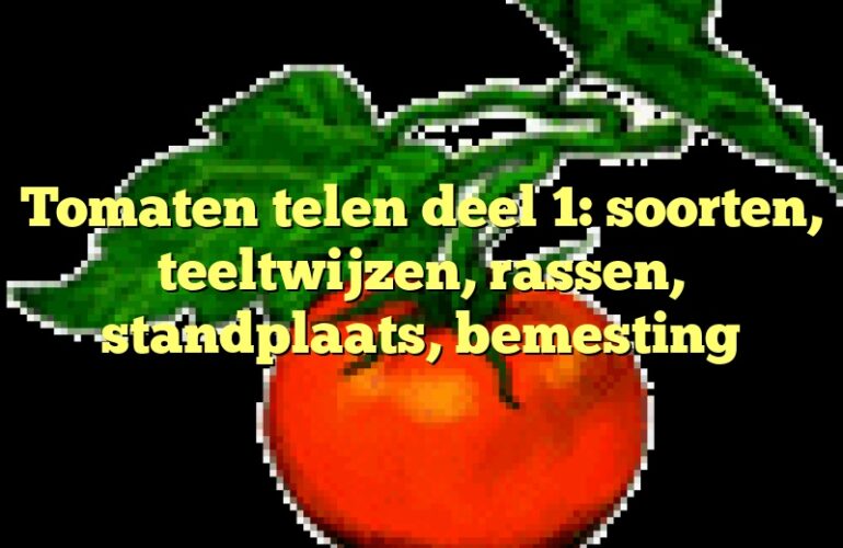 Tomaten telen deel 1: soorten, teeltwijzen, rassen, standplaats, bemesting