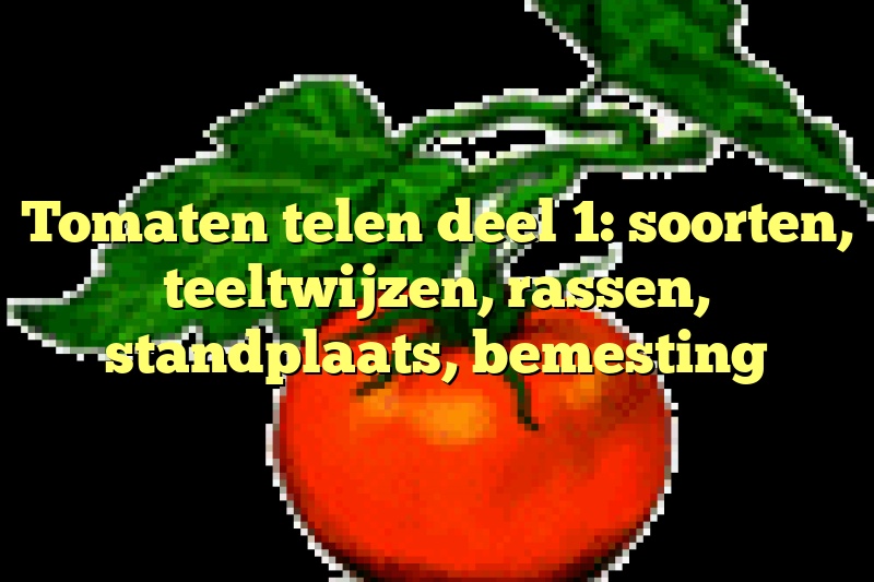 Tomaten telen deel 1: soorten, teeltwijzen, rassen, standplaats, bemesting