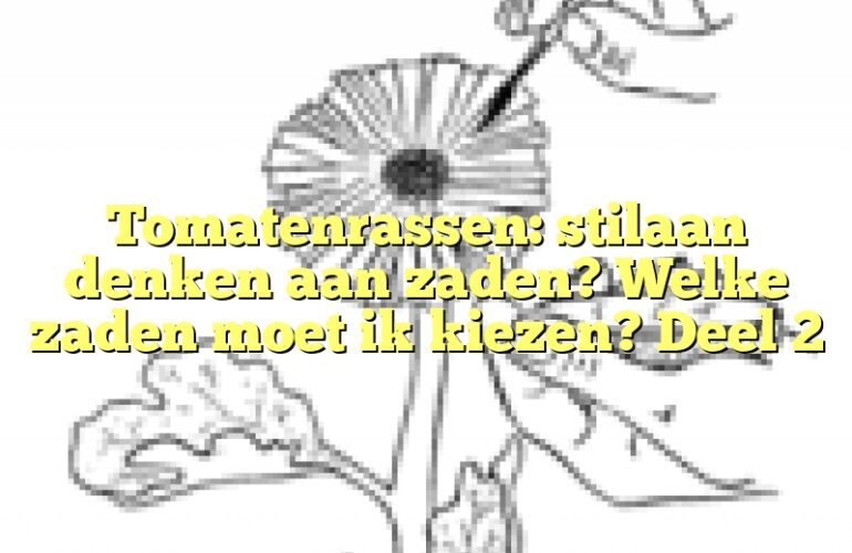 Tomatenrassen: stilaan denken aan zaden? Welke zaden moet ik kiezen? Deel 2