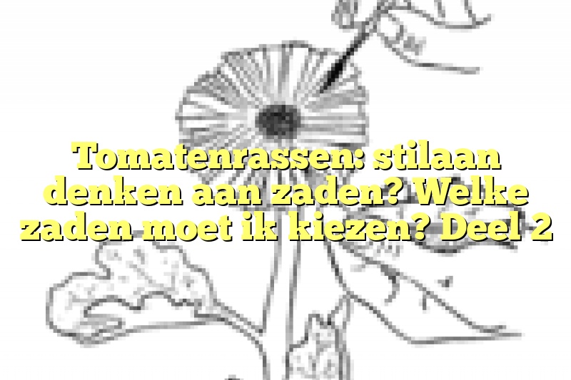 Tomatenrassen: stilaan denken aan zaden? Welke zaden moet ik kiezen? Deel 2