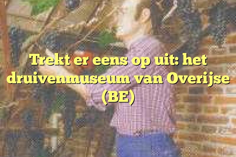 Trekt er eens op uit: het druivenmuseum van Overijse (BE)