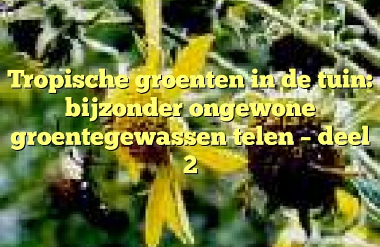 Tropische groenten in de tuin: bijzonder ongewone groentegewassen telen – deel 2