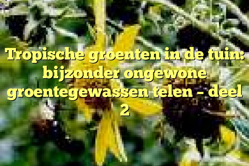 Tropische groenten in de tuin: bijzonder ongewone groentegewassen telen – deel 2