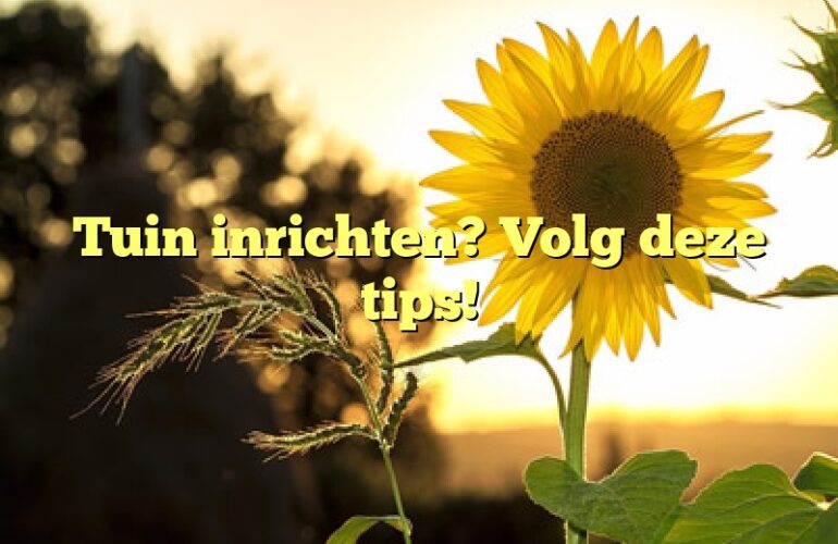 Tuin inrichten? Volg deze tips!