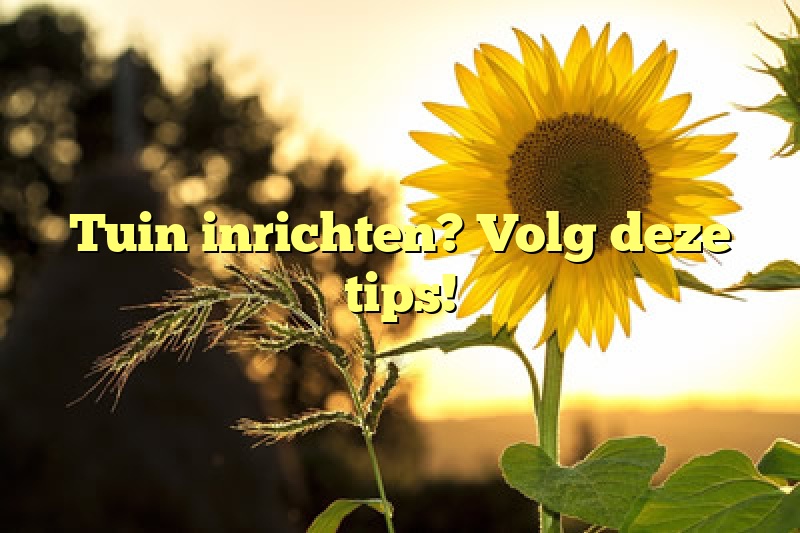 Tuin inrichten? Volg deze tips!